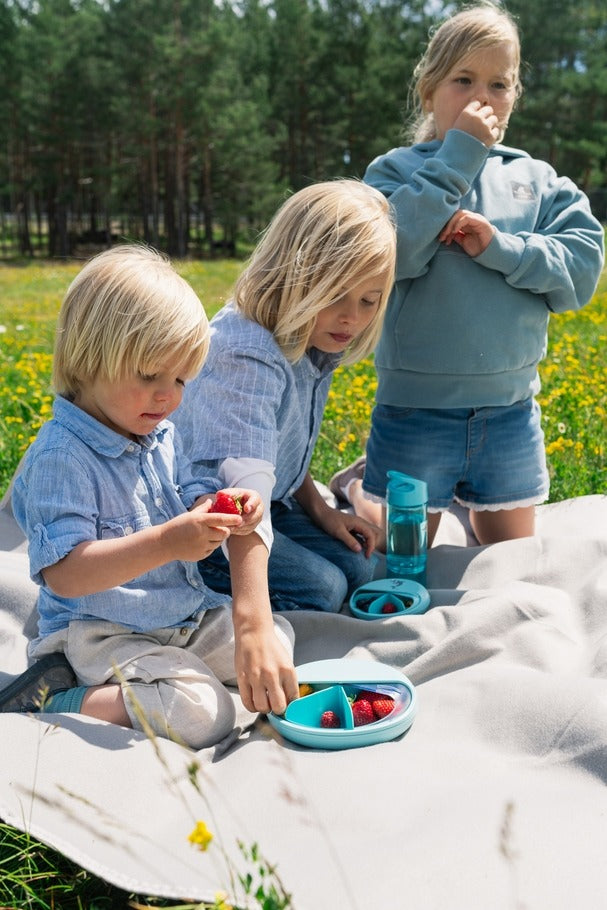 Carl Oscar - Lunchbox BentoDisc blau