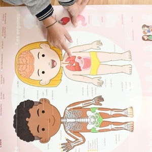 Poppik - Stickerposter Discovery Der menschliche Körper