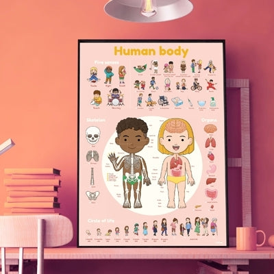 Poppik - Stickerposter Discovery Der menschliche Körper
