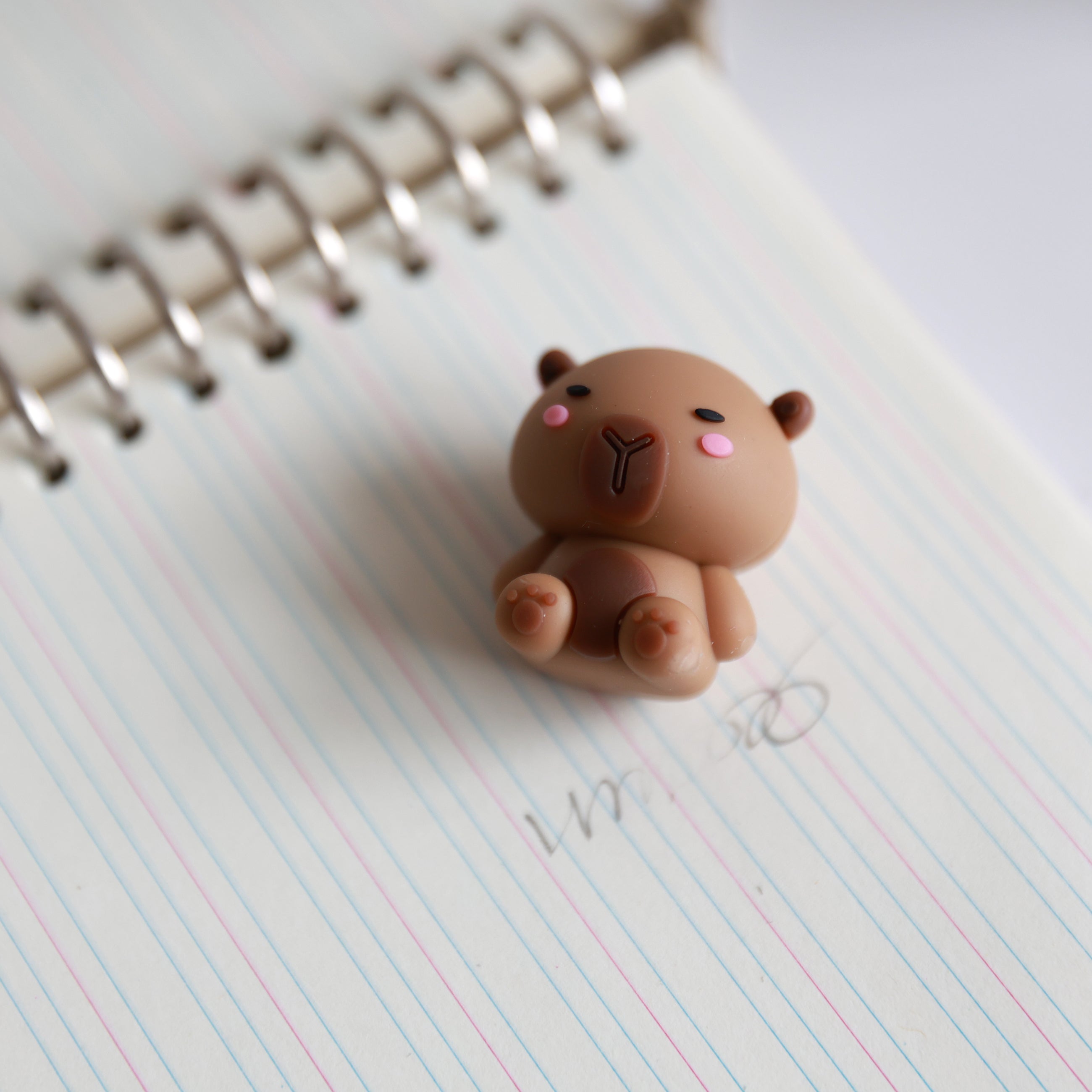 itotal - Capybara 3D Radiergummi