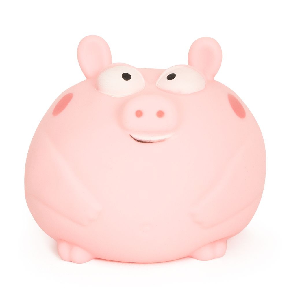 The Big Squij - Fidget: Jumbo Pig