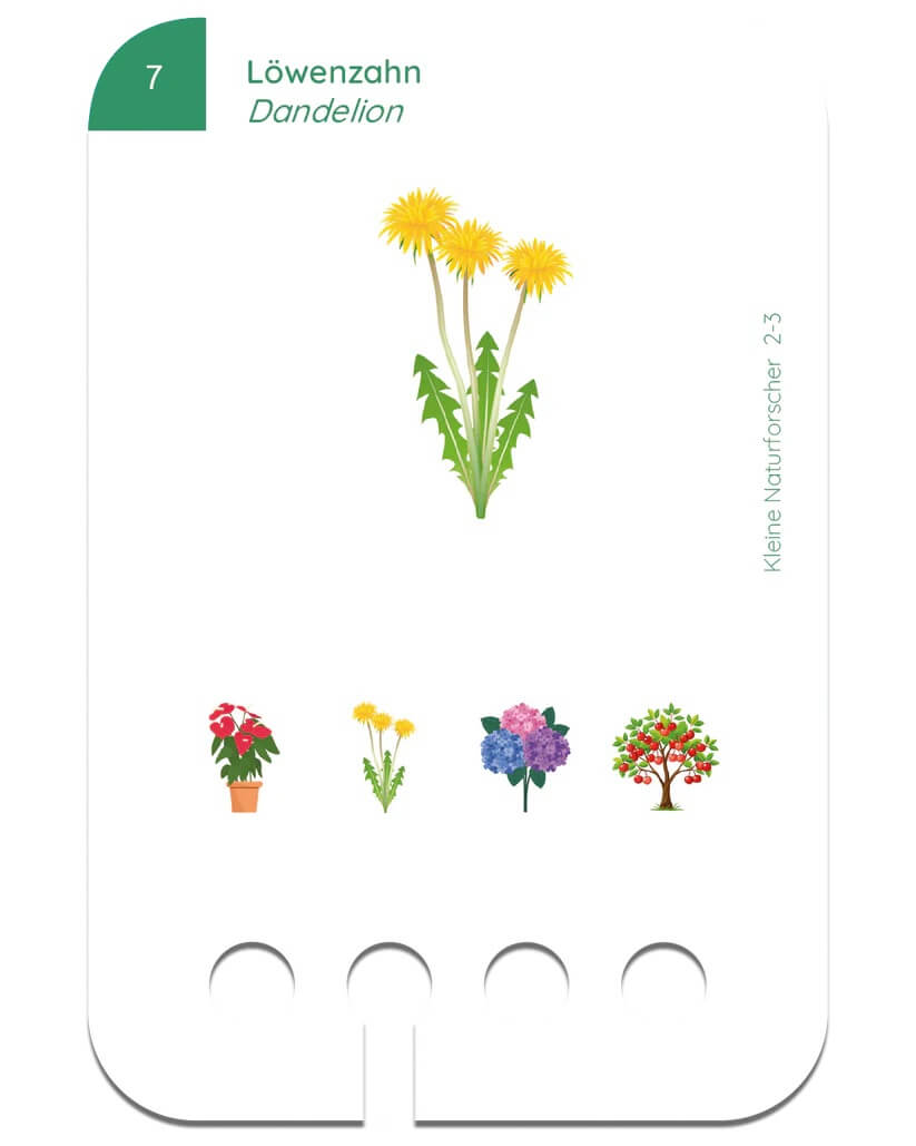 Kölner Lernspielverlag - Kartensatz Kleine Naturforscher ab 2-3