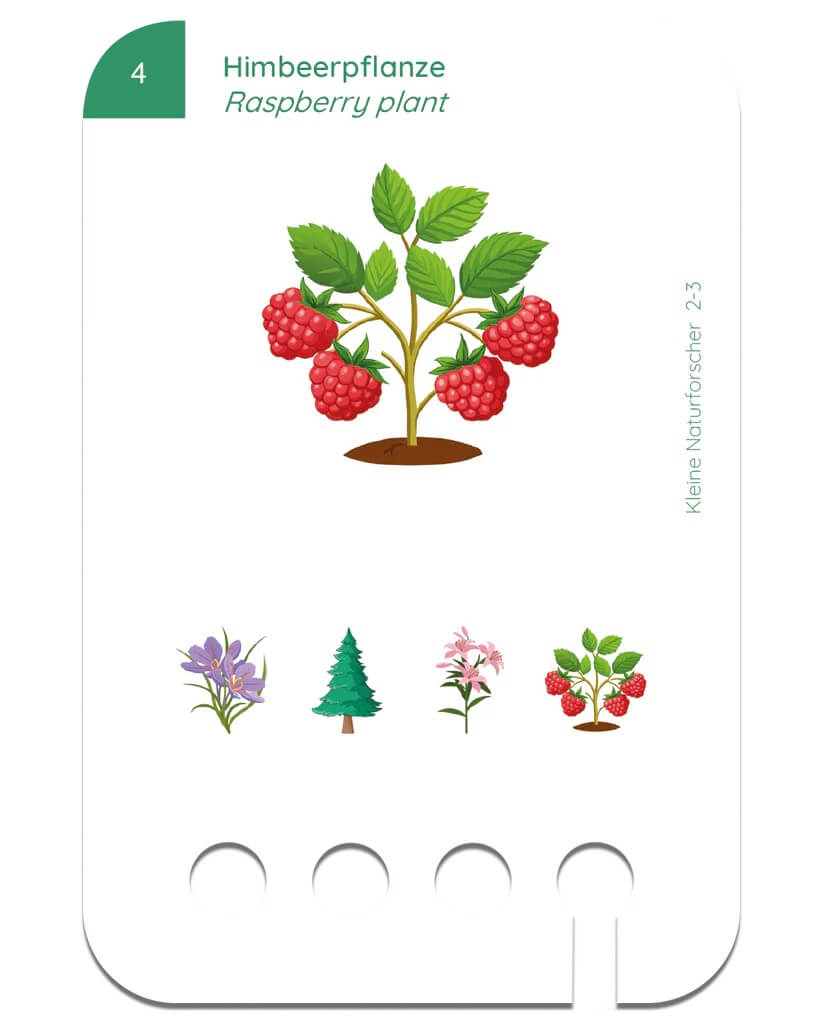 Kölner Lernspielverlag - Kartensatz Kleine Naturforscher ab 2-3