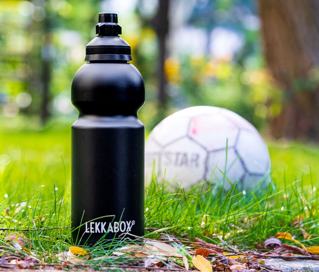 LEKKABOX - Trinkflasche Kohlensäure-geeignet 600ml