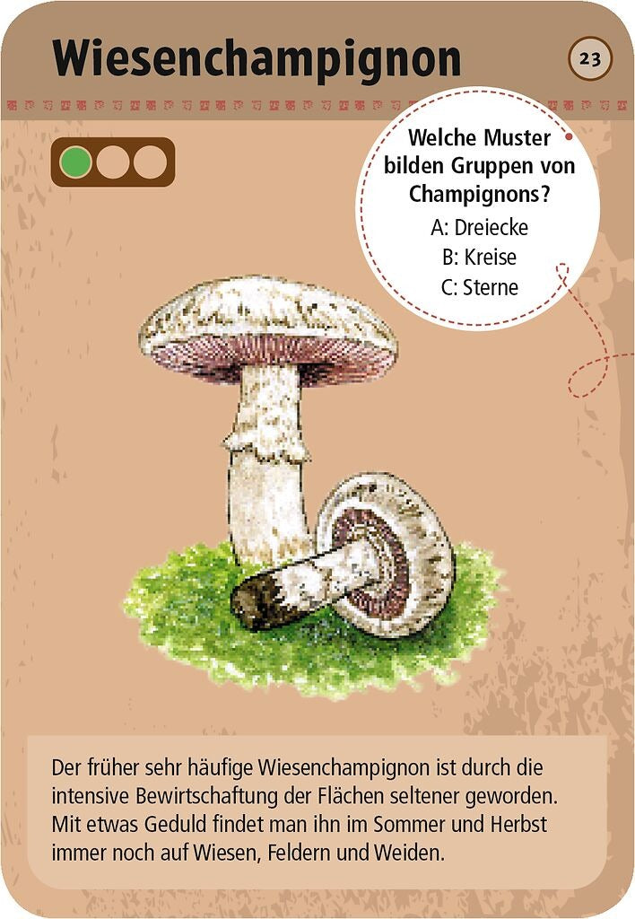 moses - 50 heimische Pilze