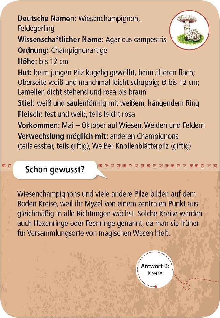 moses - 50 heimische Pilze