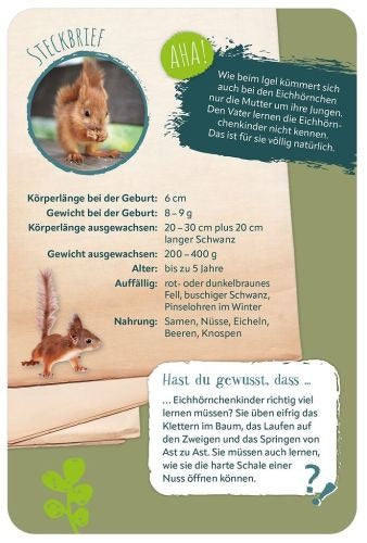 moses - Die 100 süßesten Tierbabys