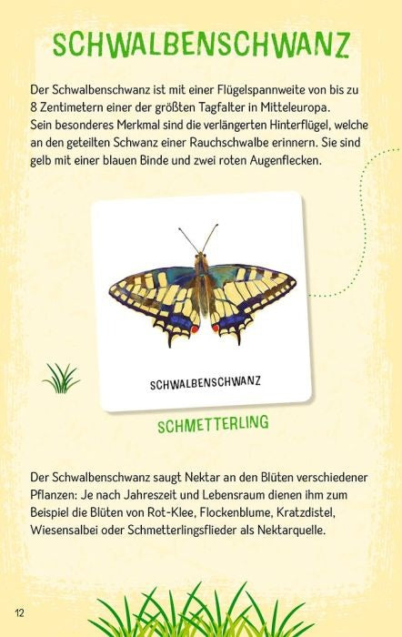 moses - Expedition Natur: Das große Insekten Memo