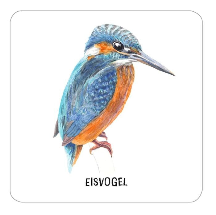moses - Expedition Natur: Das große Vogel Memo