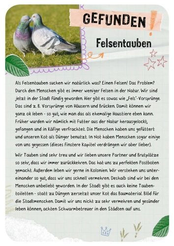 moses - Expedition Natur: Tierische Wohnung gesucht