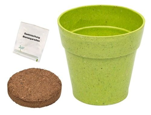 moses - Mein Zaubergarten: Anzuchtsets für Insektenfreunde