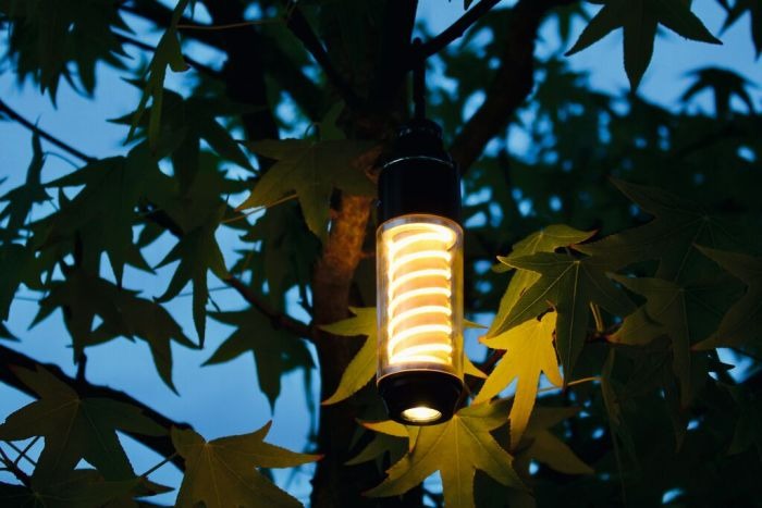 moses - Expedition Natur Outdoor Allroundlicht