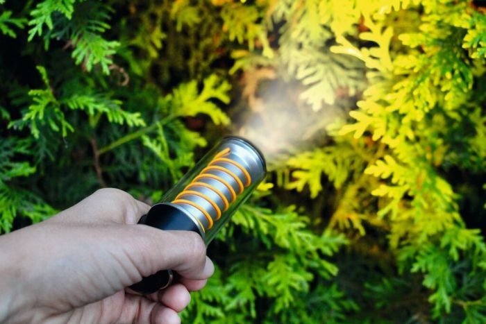 moses - Expedition Natur Outdoor Allroundlicht