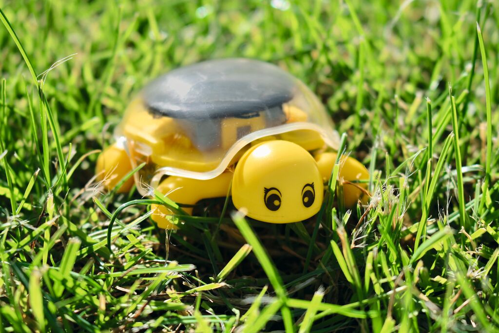 moses - PhänoMINT Solar-Schildkröte