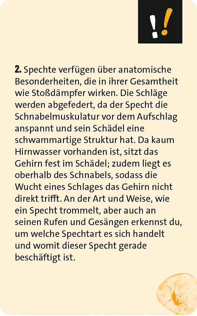 moses - ALLTAGS RÄTSEL 150 Rätsel und Knobeleien