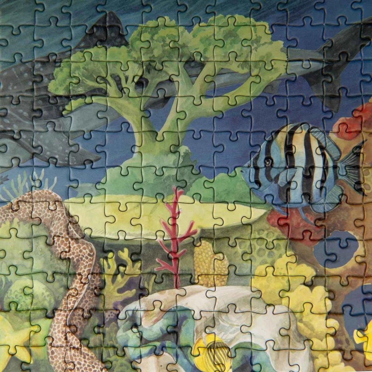 Moulin Roty - Puzzle: Korallenriff 1000 Teile