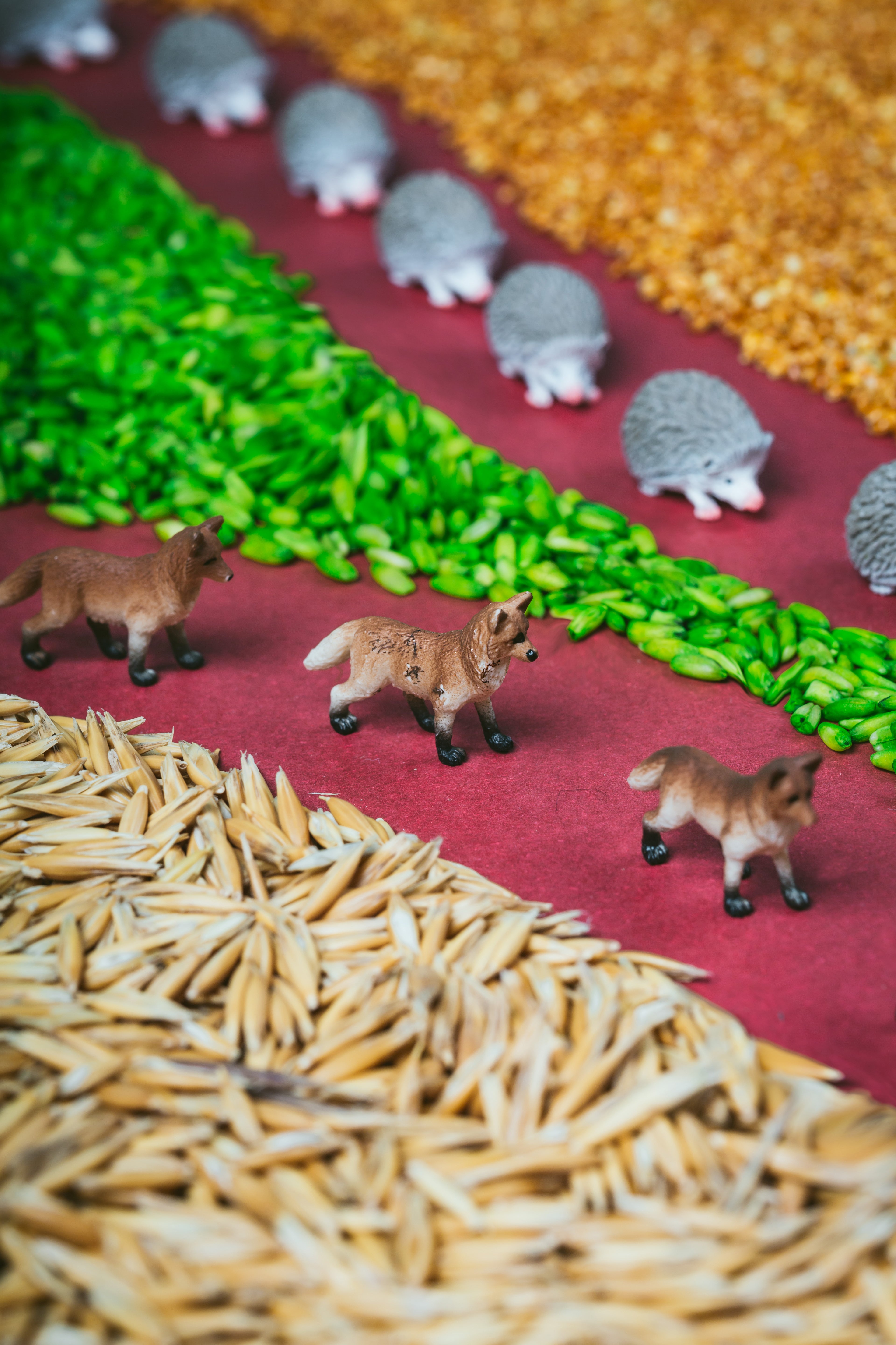 PETIT BOUM - Sensorikspielzeug "Spy Bottle Forest"