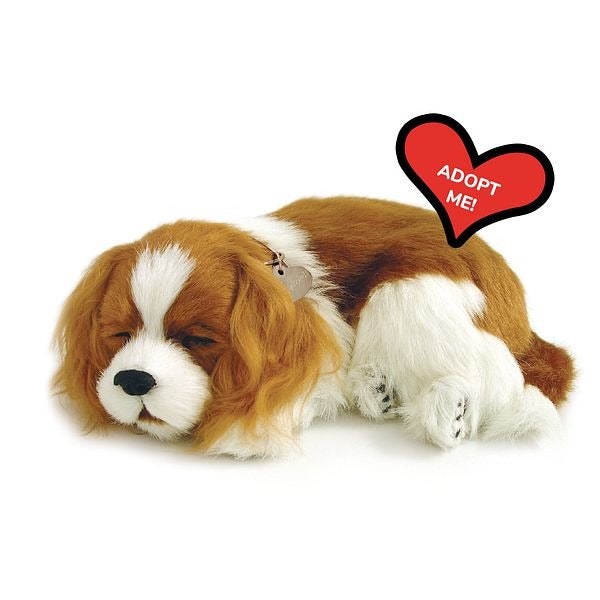 Perfect Petzzz, schlafender Cavalier King Charles Spaniel, braun-weiß, Kuscheltier, atmend, realistisch, weich, Plüschtier, Hund-Imitation, lebensecht, Dekoration, Senioren, "Adopt Me" Herz.