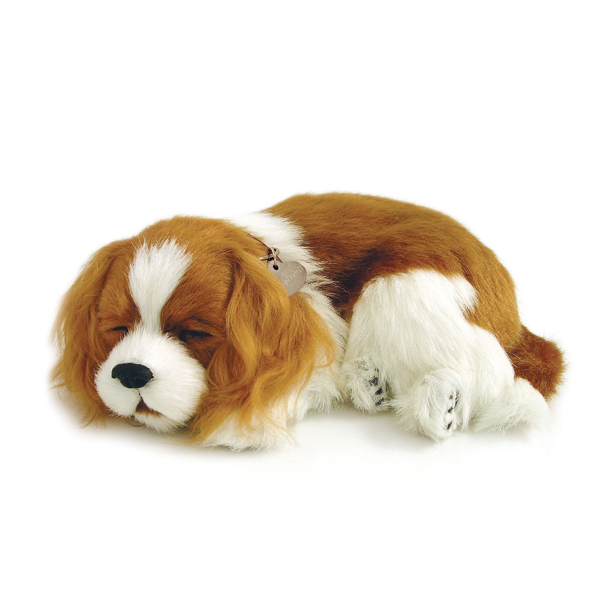 Perfect Petzzz, schlafender Cavalier King Charles Spaniel, braun-weiß, Kuscheltier, atmend, realistisch, weich, Plüschtier, Hund-Imitation, lebensecht, Dekoration, Kinder, Senioren, beruhigend, Spielzeug.