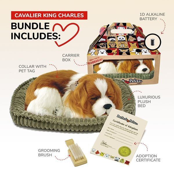 Perfect Petzzz Set, schlafender Cavalier King Charles Spaniel, Kuscheltier, Bettchen, Bürste, Halsband, Adoptionsurkunde, Transportbox, Batterie, realistisch, atmend, Plüschtier, Haustier-Set, Geschenk.