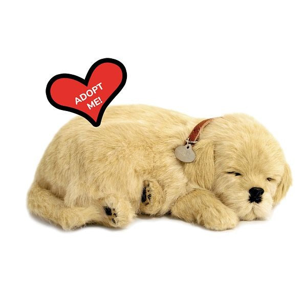Perfect Petzzz, schlafender Golden Retriever, hellbraun, Kuscheltier, atmend, realistisch, weich, Plüschtier, Hund-Imitation, lebensecht, Dekoration, Kinder, Senioren, beruhigend, "Adopt Me" Herz.