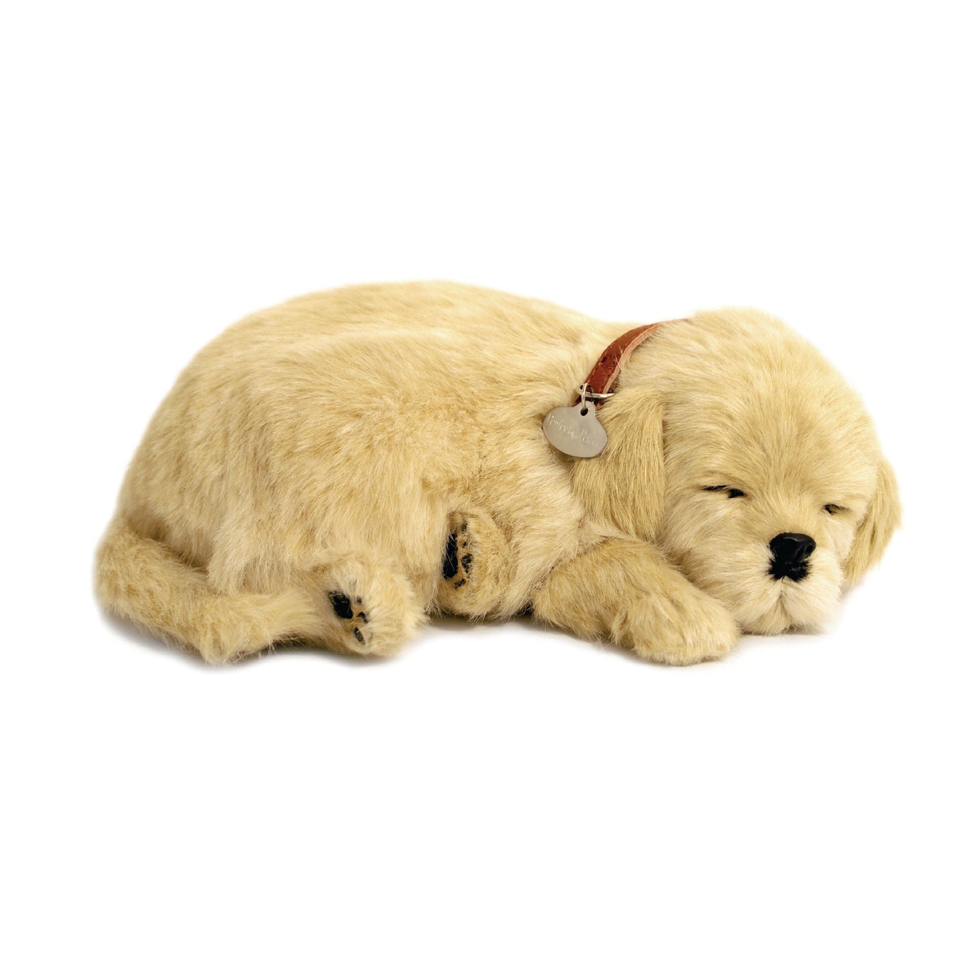 Perfect Petzzz, schlafender Golden Retriever, hellbraun, Kuscheltier, atmend, realistisch, weich, Plüschtier, Hund-Imitation, lebensecht, Dekoration, Kinder, Senioren, beruhigend, Spielzeug, kompakt.