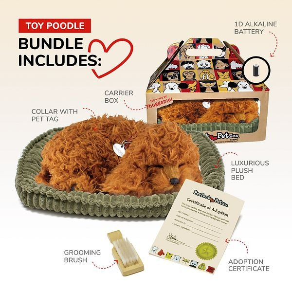 Perfect Petzzz Set, schlafender Toy-Pudel, braun, Kuscheltier, Bettchen, Bürste, Halsband, Adoptionsurkunde, Transportbox, Batterie, realistisch, atmend, Plüschtier, Haustier-Set, Geschenk.