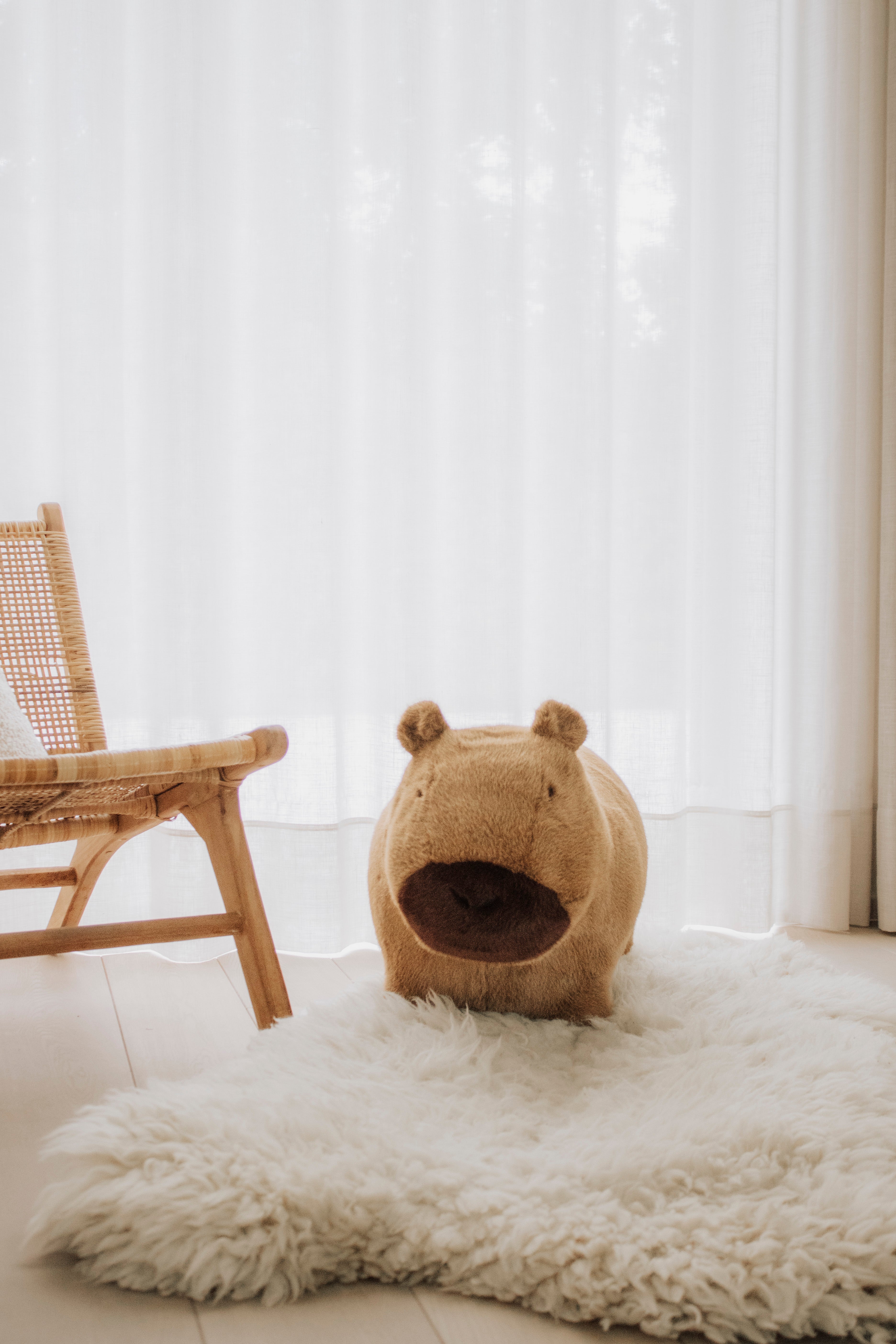 WILD & SOFT - Soft Bouncies Capybara
