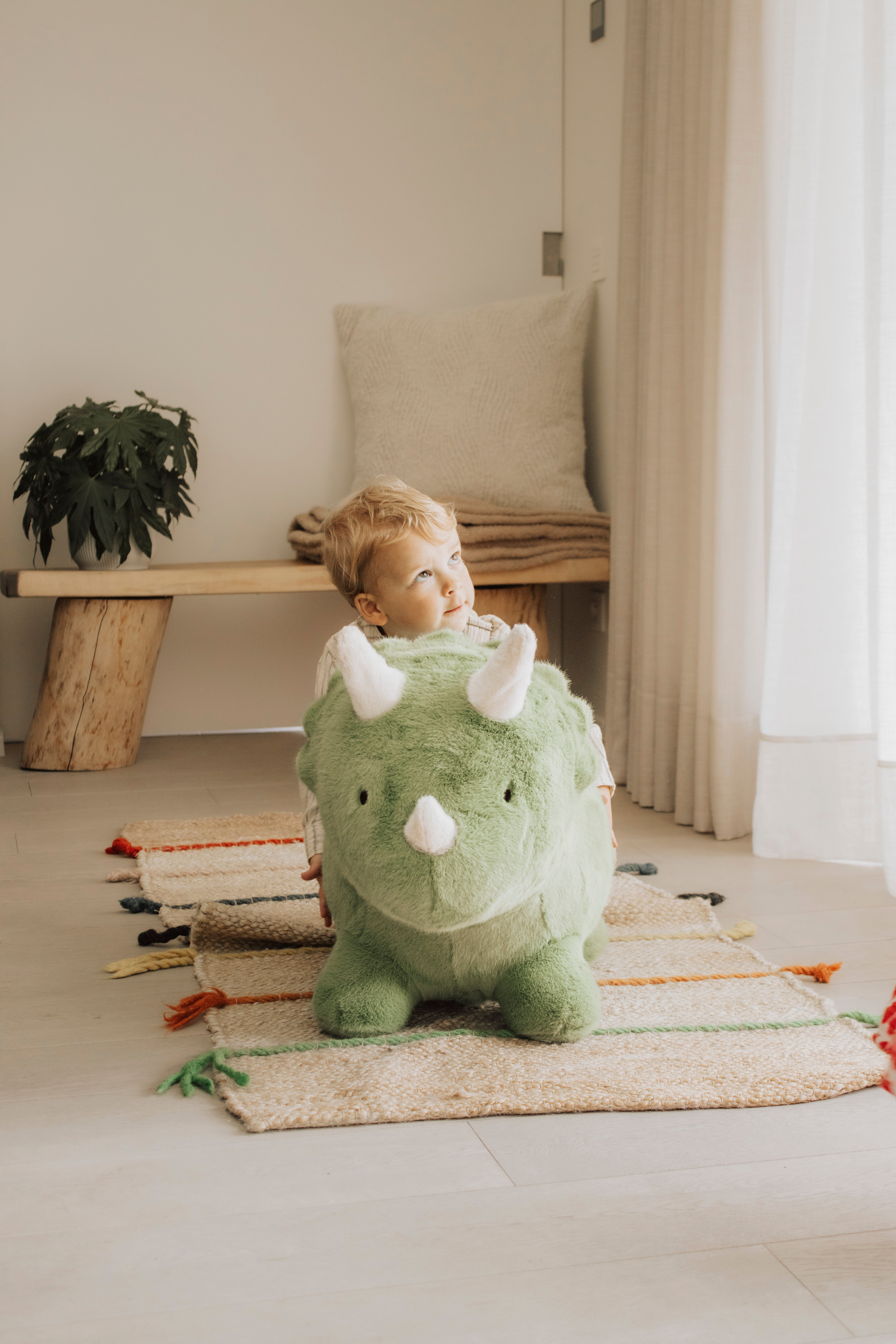 WILD & SOFT - Soft Bouncies Dino
