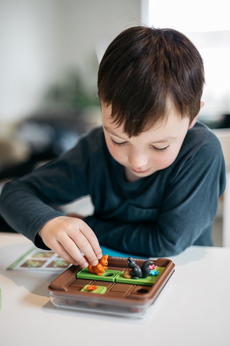 smart games - Spiel: Ran an die Nüsse!