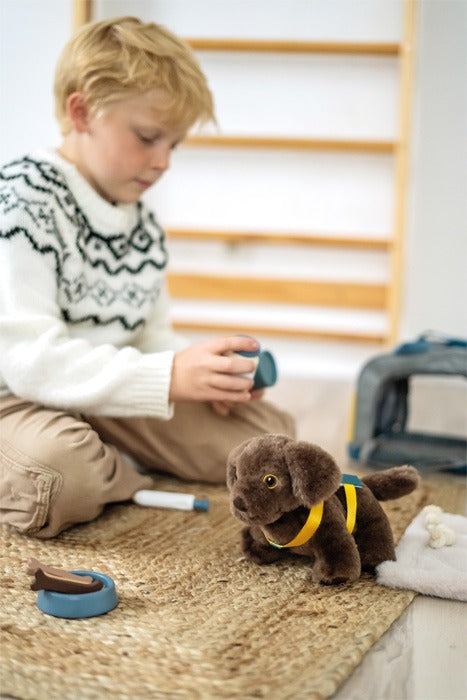 small foot - Hund mit Tasche und Pflege-Set