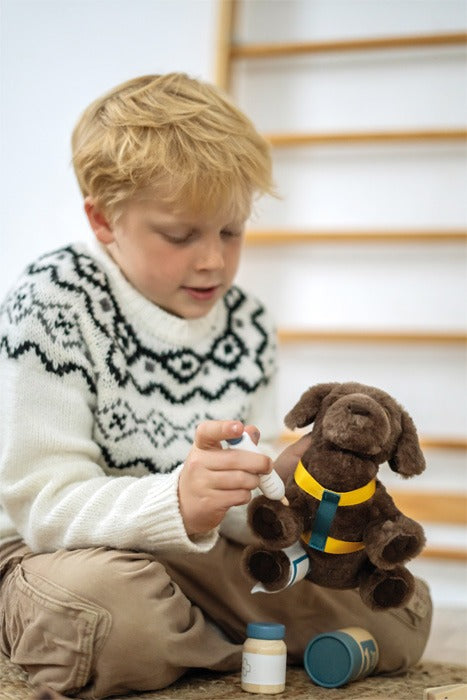 small foot - Hund mit Tasche und Pflege-Set