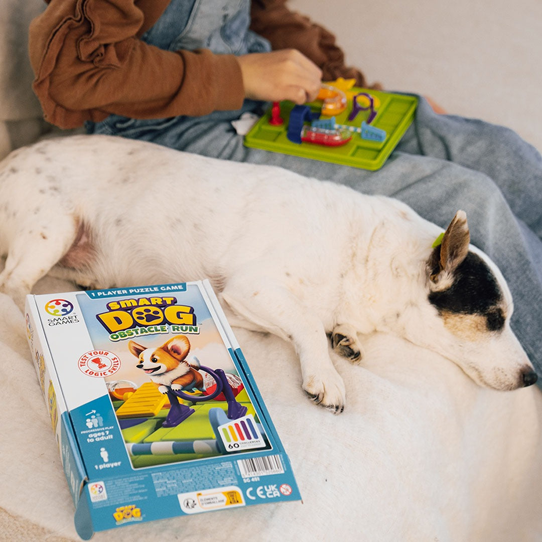 smart games - Spiel: Pfoten Parcours