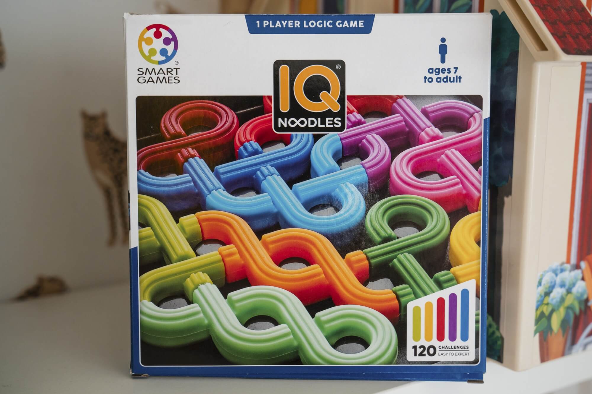 smart games - IQ Noodles