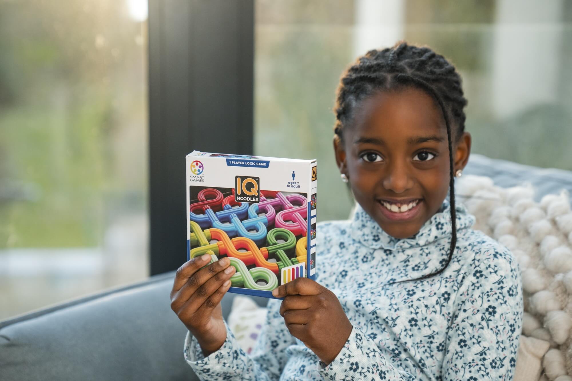smart games - IQ Noodles