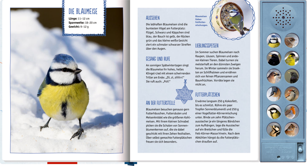 Spiegelburg - Soundbuch: Vögel im Winter bei dir zu Gast