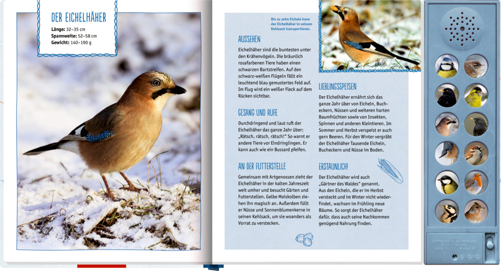 Spiegelburg - Soundbuch: Vögel im Winter bei dir zu Gast