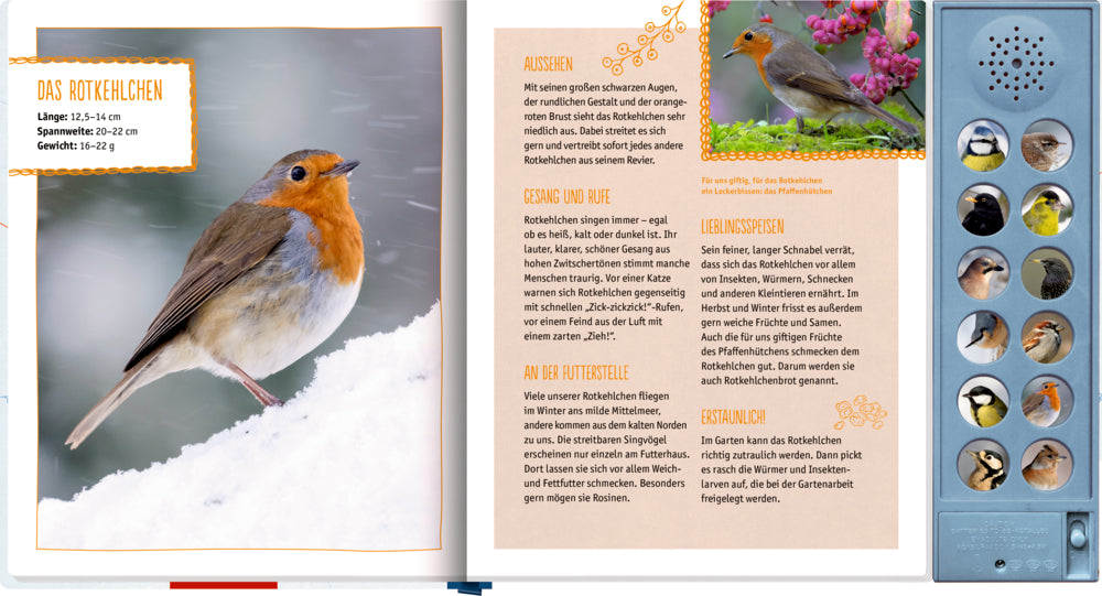 Spiegelburg - Soundbuch: Vögel im Winter bei dir zu Gast