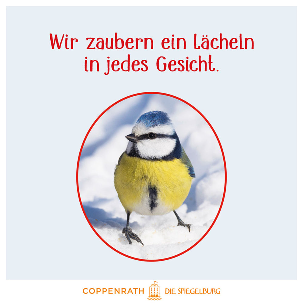 Spiegelburg - Soundbuch: Vögel im Winter bei dir zu Gast