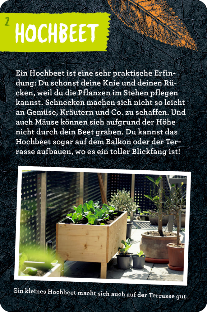 Spiegelburg - Nature Zoom: 50 Garten-Projekte