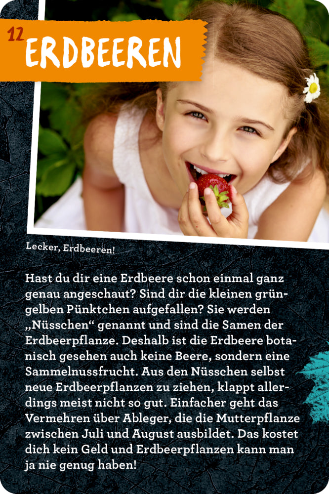 Spiegelburg - Nature Zoom: 50 Garten-Projekte