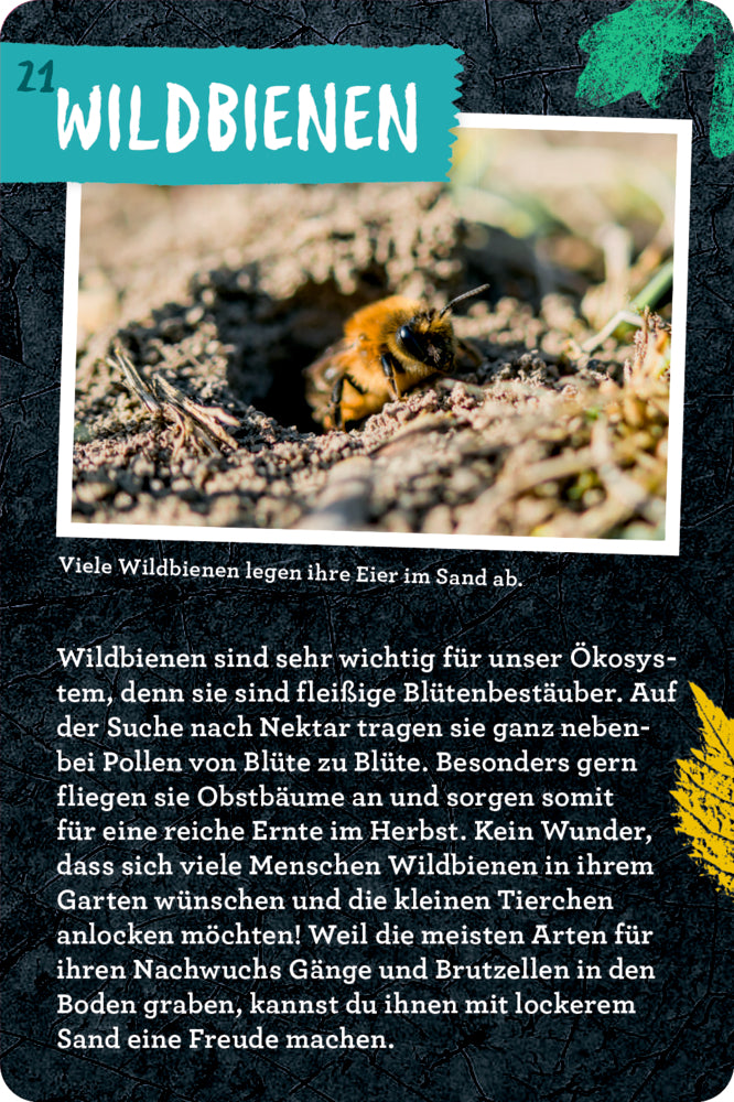 Spiegelburg - Nature Zoom: 50 Garten-Projekte