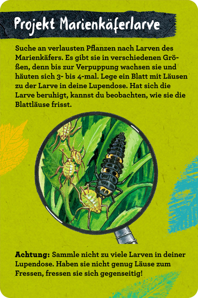 Spiegelburg - Nature Zoom: 50 Insekten, Spinnen & Co.