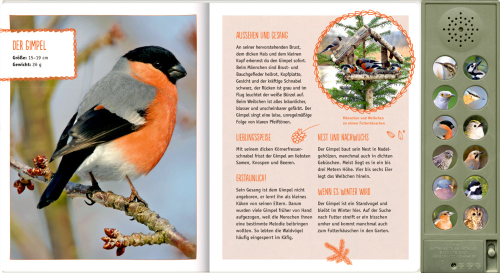Spiegelburg - Soundbuch Vögel in unseren Wäldern mit Geräuschen
