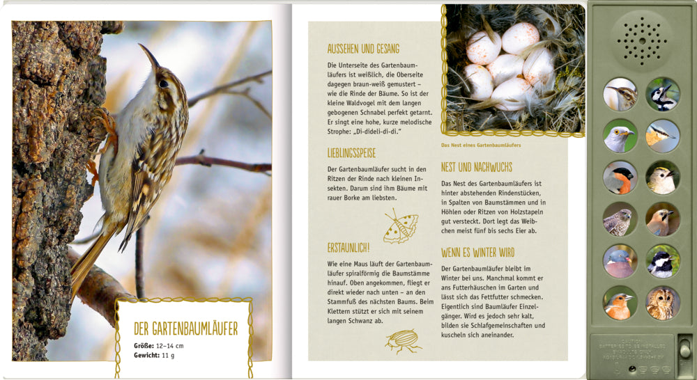 Spiegelburg - Soundbuch Vögel in unseren Wäldern mit Geräuschen