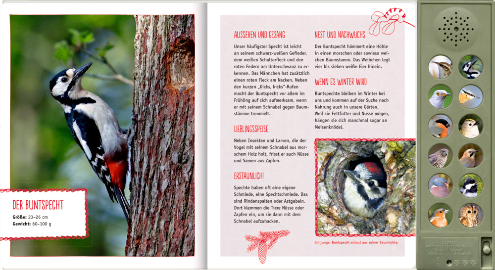 Spiegelburg - Soundbuch Vögel in unseren Wäldern mit Geräuschen