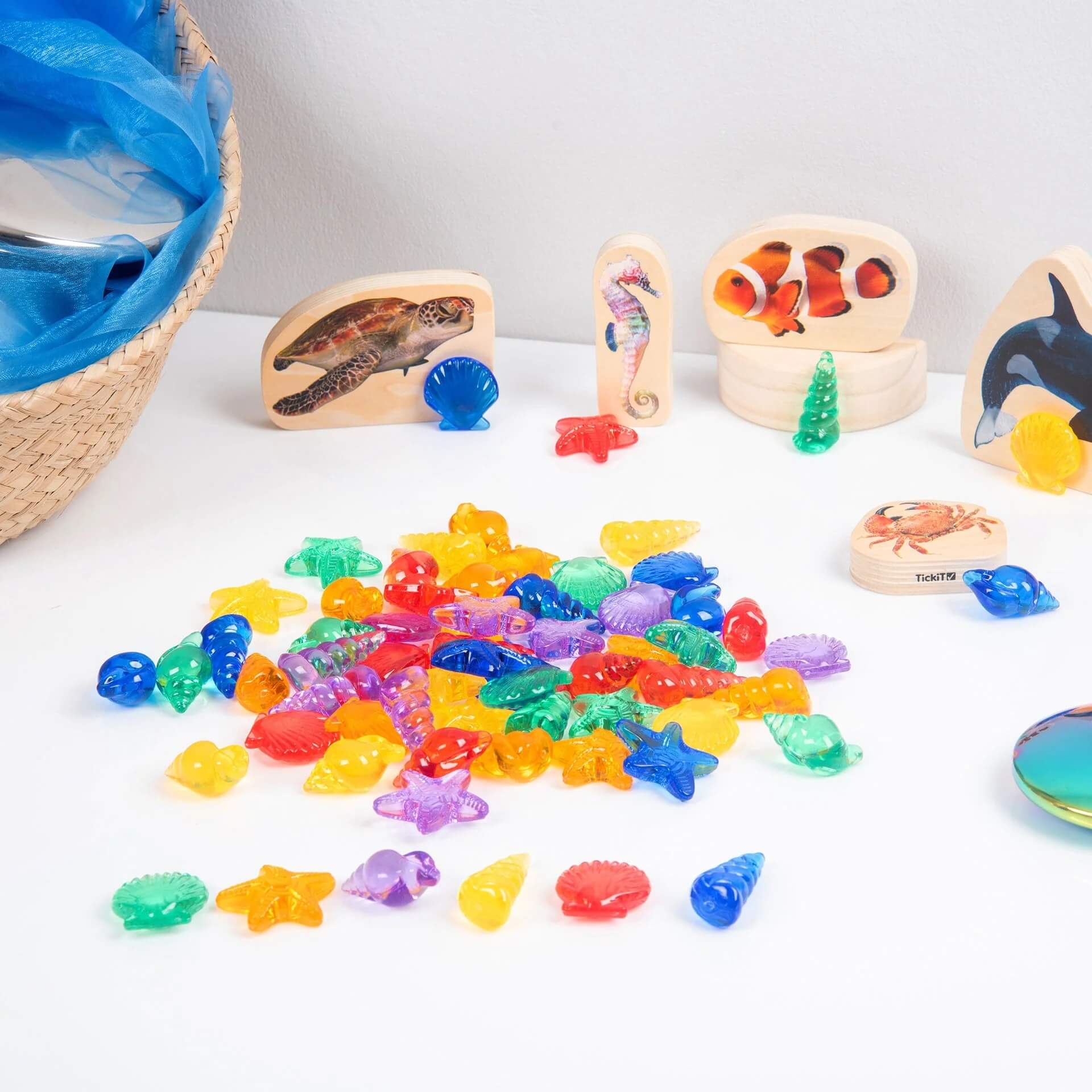 tickit - Transparente Muscheln 72stk