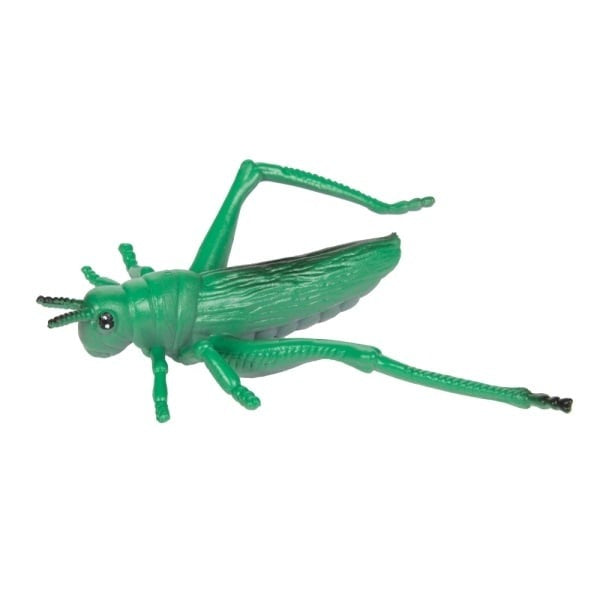 Toi-Toys - Animal World: Insekt