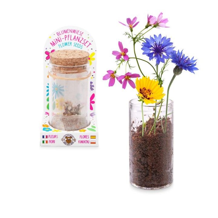 Trendhaus - GOOD FEELINGS Mini-Pflanzset Blumenwiese