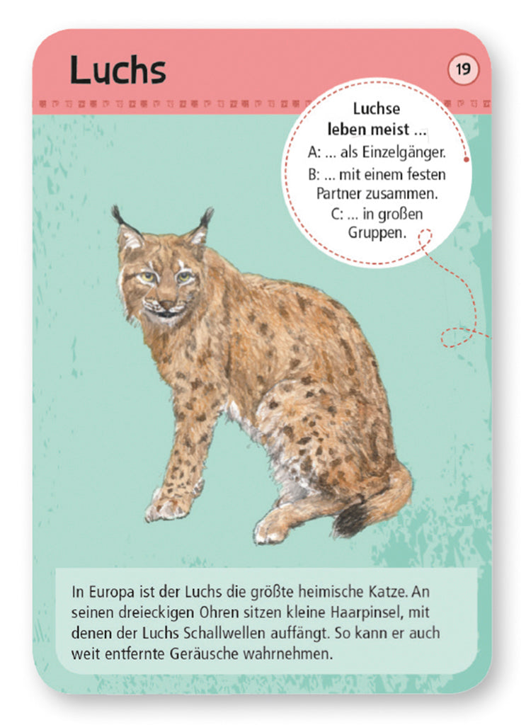 moses - 50 heimische Wald- & Wildtiere